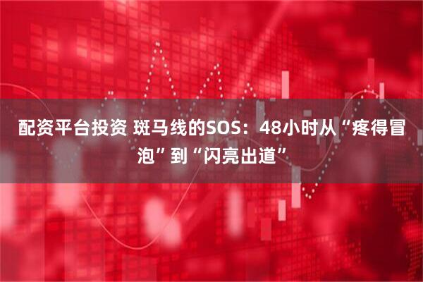 配资平台投资 斑马线的SOS：48小时从“疼得冒泡”到“闪亮出道”